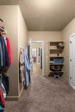 Spacious closet featuring light carpet