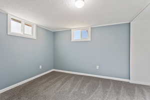 Basement featuring a textured ceiling and carpet floors