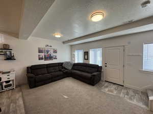 Living room with wood-type flooring, a healthy amount of sunlight, and a textured ceiling