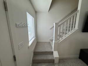 Staircase with carpet flooring and a wealth of natural light