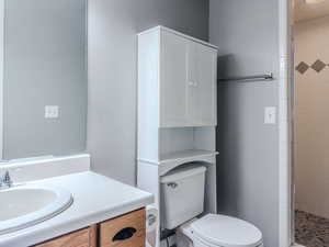 Bathroom featuring vanity, toilet, and walk in shower