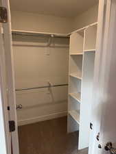 Spacious closet featuring dark colored carpet