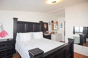 Bedroom featuring a textured ceiling, lofted ceiling, dark hardwood / wood-style flooring, sink, and ensuite bathroom