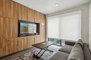 Living room featuring dark wood-type flooring