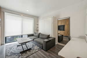 Living room featuring dark wood-type flooring