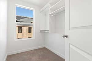 Spacious closet with carpet