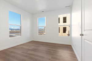 Empty room featuring plenty of natural light and wood-type flooring