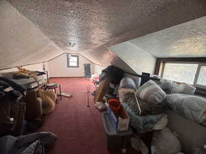 Carpeted bedroom with a textured ceiling and lofted ceiling