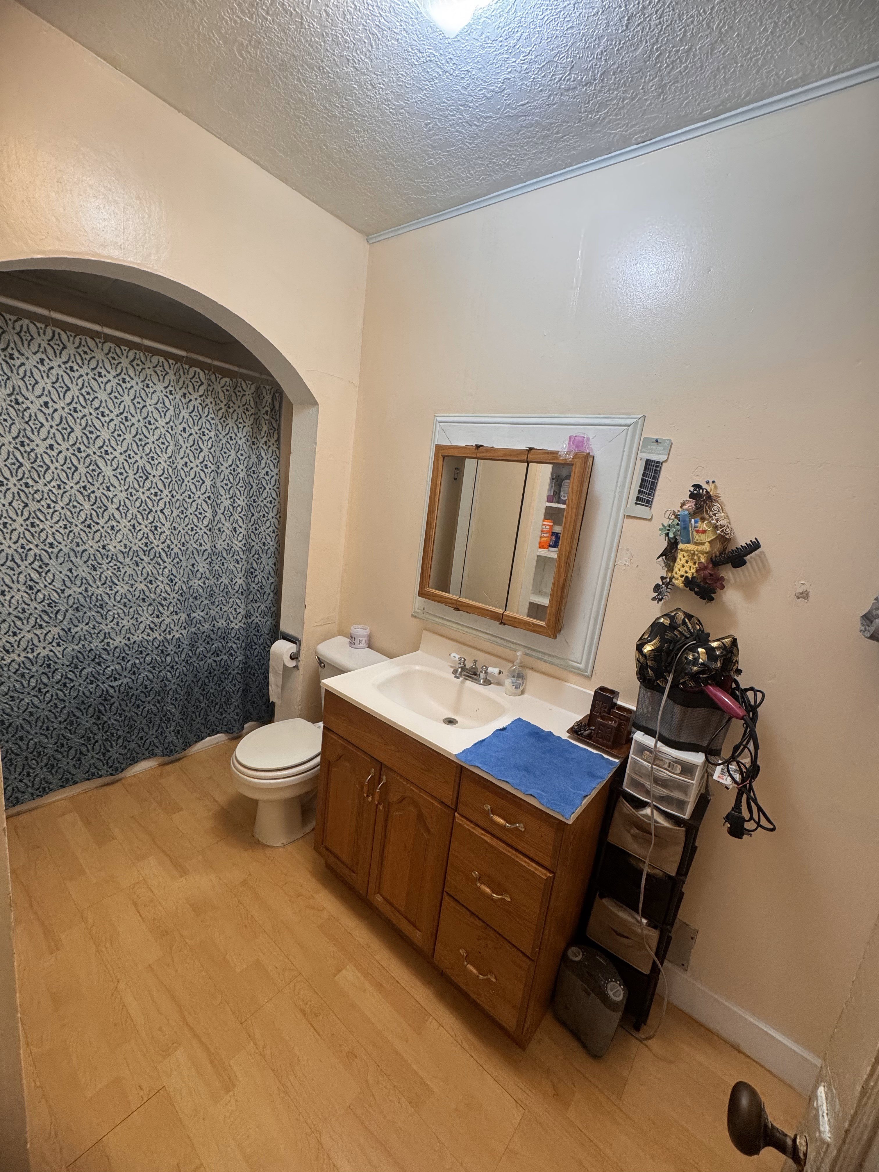 Bathroom featuring wood-type flooring, toilet, a textured ceiling, and vanity