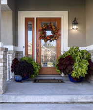 Glass panel front door.