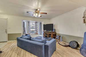 Living room featuring crown molding, hardwood / wood-style floors, a textured ceiling, and ceiling fan