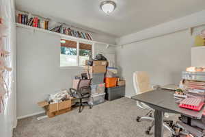 Office space with carpet floors