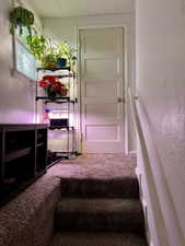 Stairway with carpet floors and a drop ceiling