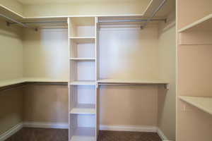 View of walk in closet