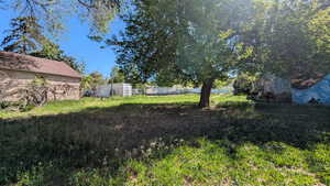 Shared Fence between 3767 South & 3779 South