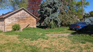 3767 South Backyard