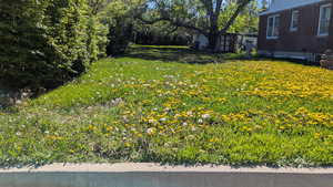 3757 South - Front Side Yard