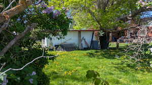 3757 South - Backyard