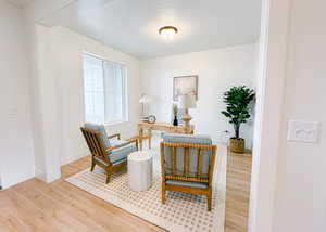 Living area featuring wood-type flooring