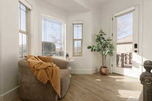 Living area with light hardwood / wood-style floors and a wealth of natural light