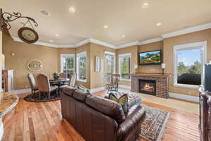 Living room featuring ornamental molding, light hardwood / wood-style floors, and a fireplace