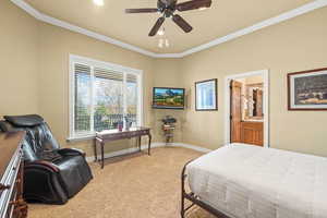 Carpeted bedroom featuring ensuite bathroom, ceiling fan, and ornamental molding