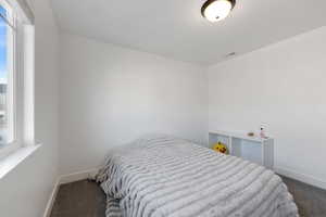 Bedroom featuring dark colored carpet