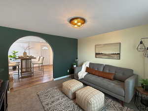 Carpeted living room with a textured ceiling