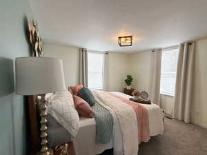 Bedroom featuring multiple windows, carpet floors, and a textured ceiling