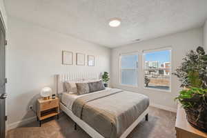 Carpeted bedroom with great natural light.