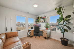 Great bedroom with three large windows and a large closet. Currently used as a Home office