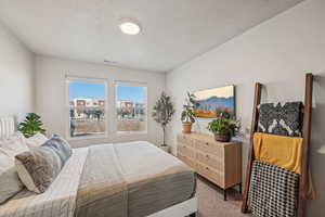 Carpeted bedroom featuring great natural light