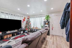 Living room featuring light wood-type flooring