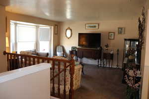 Living room with carpet floors