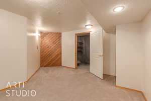 Basement featuring light colored carpet, a textured ceiling, and wooden walls