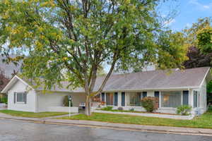 Ranch-style home featuring a front lawn