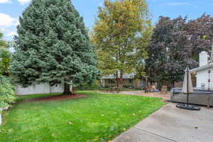 View of yard featuring a patio and a hot tub