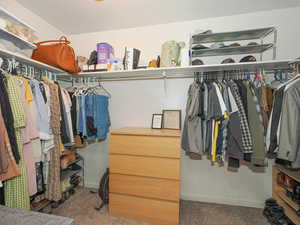 Spacious closet with carpet floors