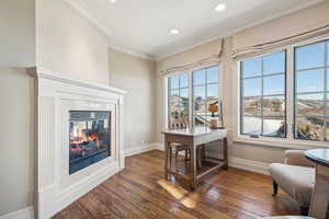 Office featuring crown molding, hardwood / wood-style floors, and a fireplace