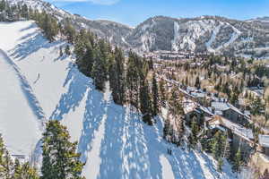 Property view of mountains