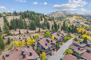 Birds eye view of property featuring a mountain view