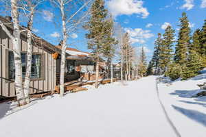 View of snowy yard