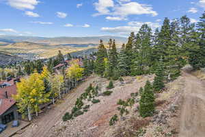 Birds eye view of property with a mountain view