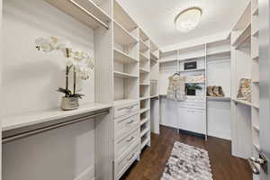 Walk in closet with dark wood-type flooring