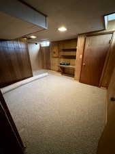 Basement featuring wood walls and carpet