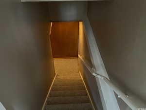 Staircase featuring carpet floors