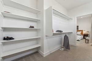 Spacious closet featuring carpet flooring