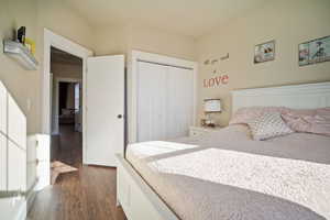 Bedroom with dark wood-type flooring and a closet