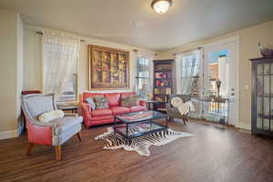 Living room featuring dark hardwood / wood-style flooring