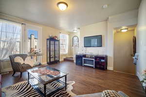 Living room featuring dark hardwood / wood-style flooring